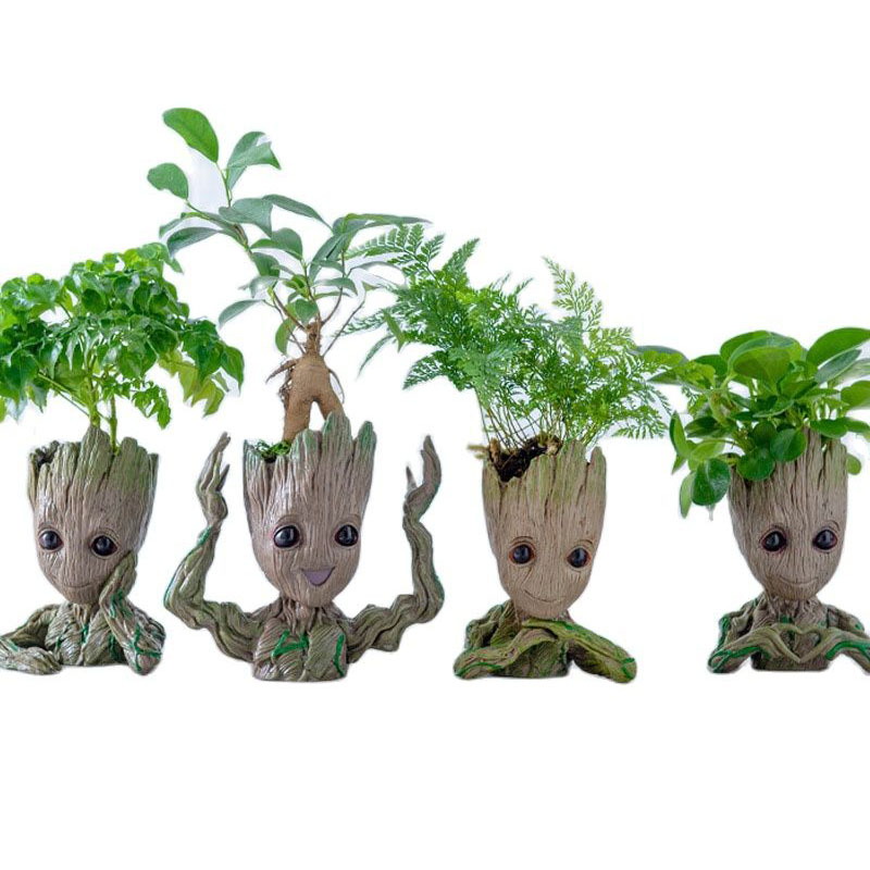 Plant Parents - أواني زهور من جروت لتزيين المنزل