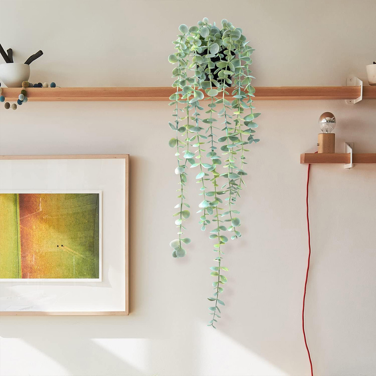 String Of Pearls Plant - نباتات صناعية معلقة من اللبلاب واليوكاليبتوس،