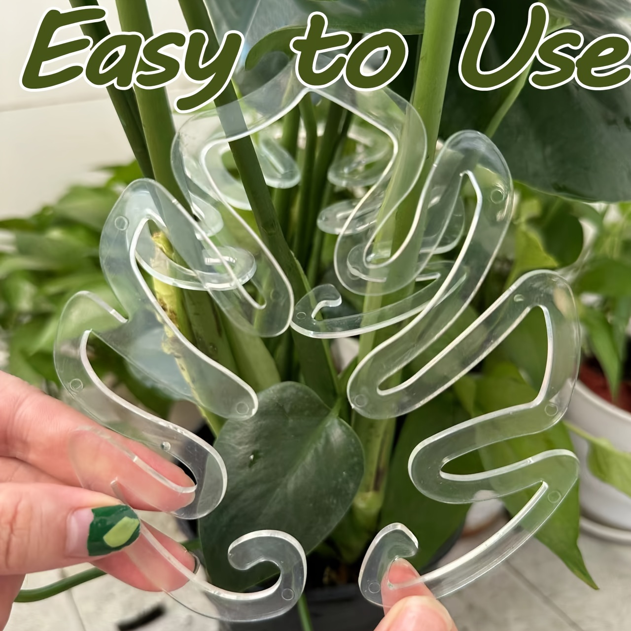 Variegated Monstera Node - مشابك بلاستيكية مرنة لدعم نباتات المونستيرا،