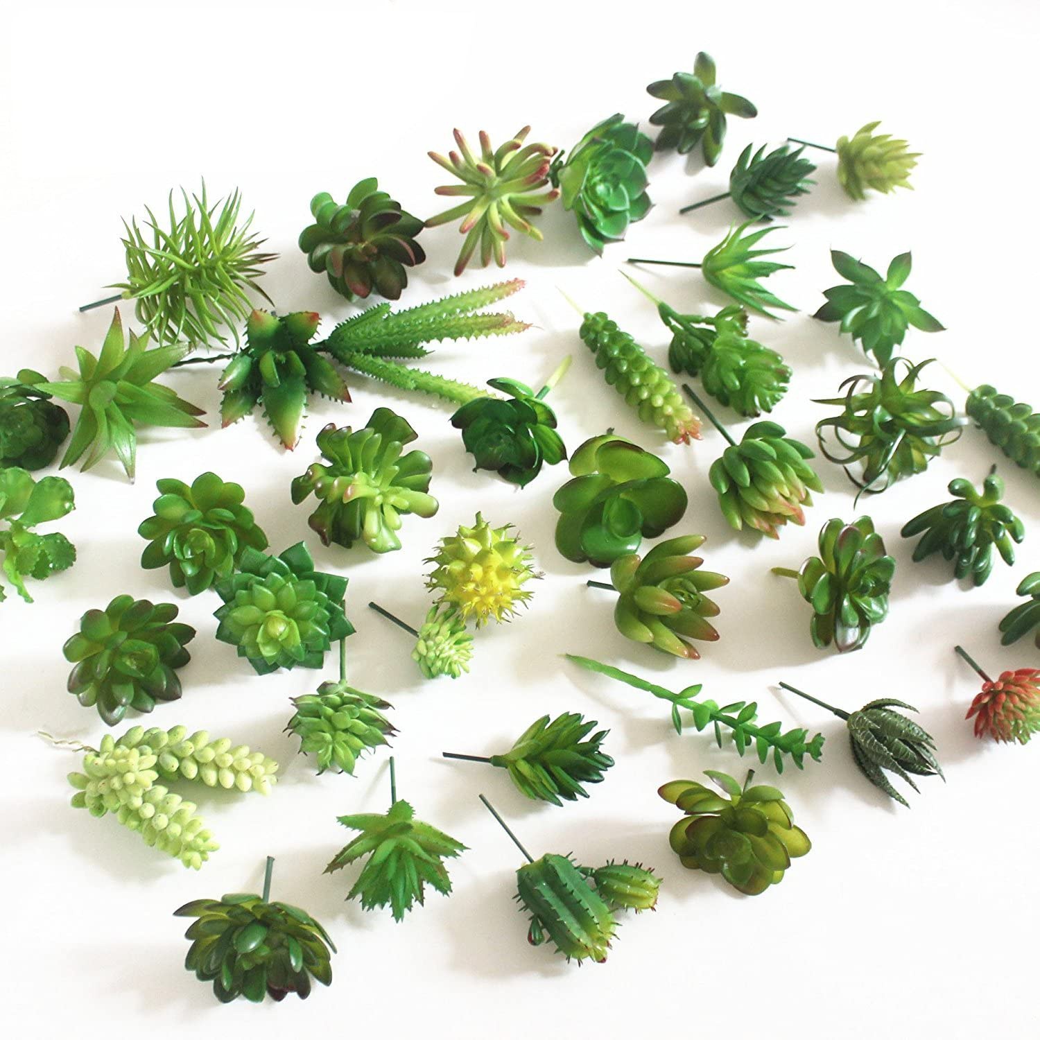 String Of Pearls Plant - نباتات عصارية زخرفية صناعية ، عصارة