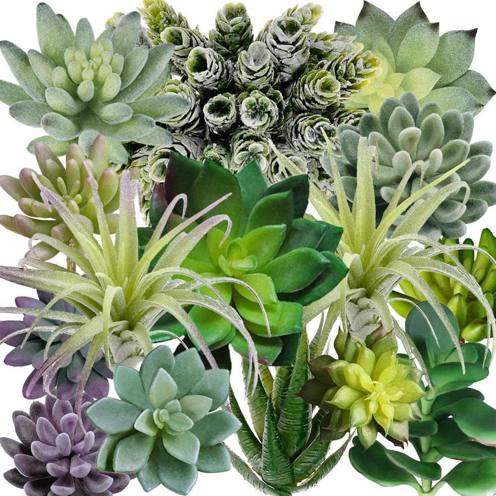 String Of Pearls Plant - 15 قطعة من النباتات العصارية الاصطناعية