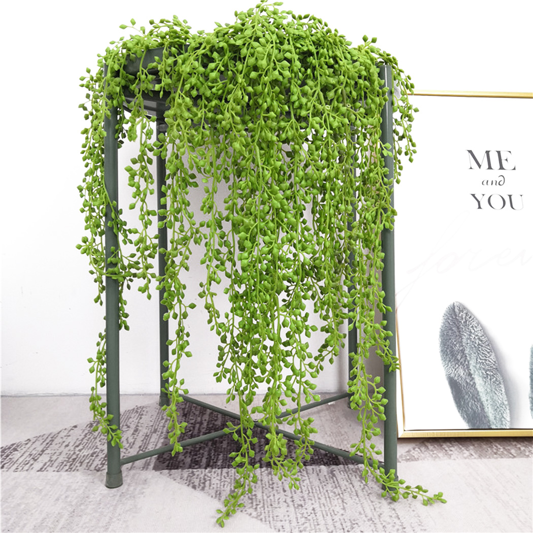 String Of Pearls Plant - نبات اصطناعي فاينز جدار معلق أوراق
