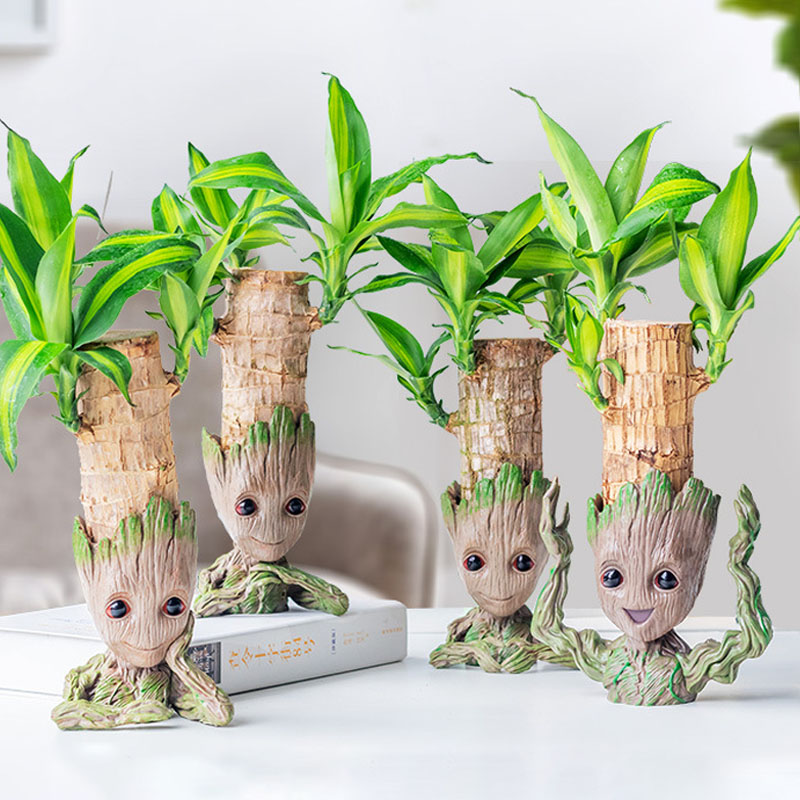 أواني زهور من جروت لتزيين المن - مراجعة Plant Parents وسعره