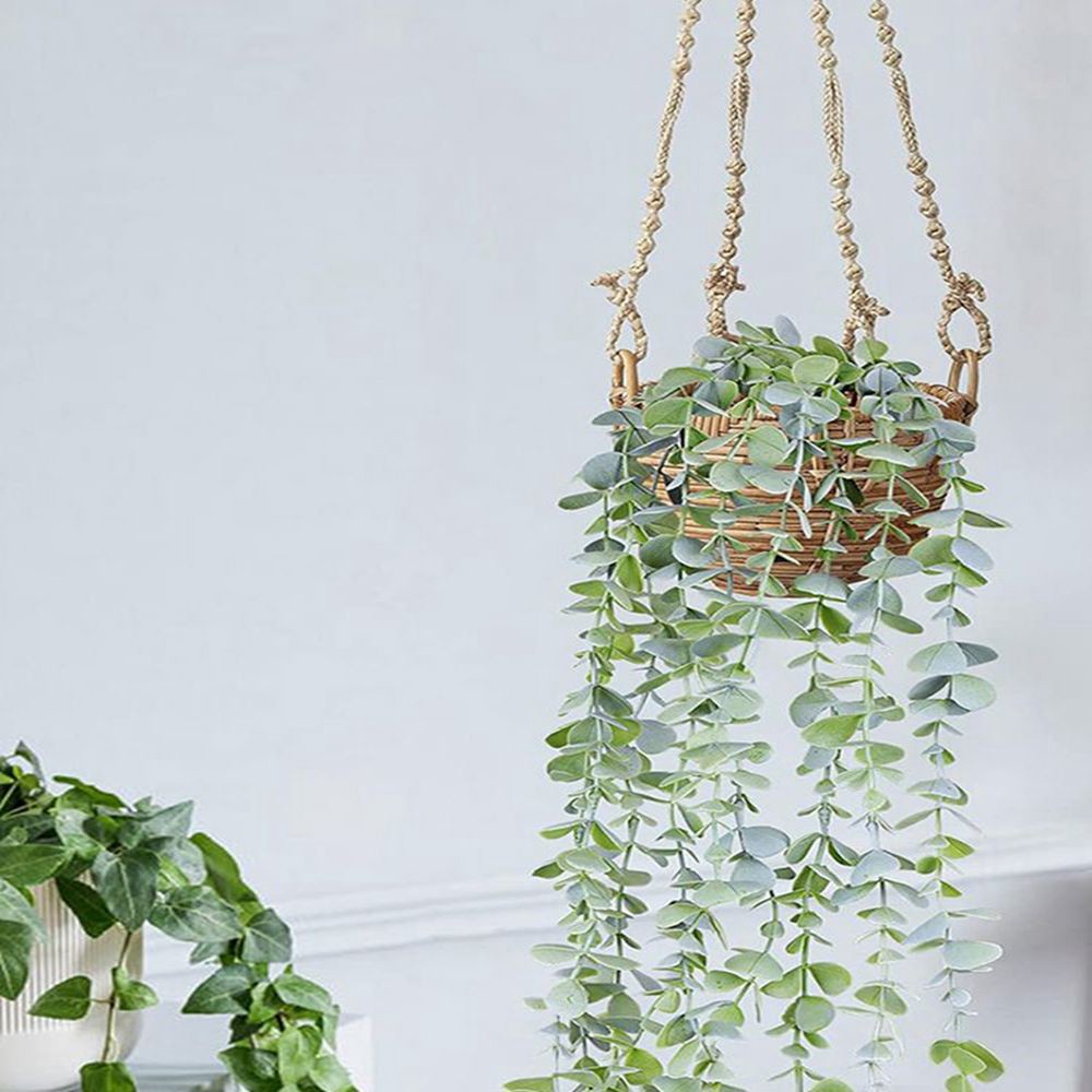 نباتات صناعية معلقة من اللبلاب - مراجعة String Of Pearls Plant وسعره