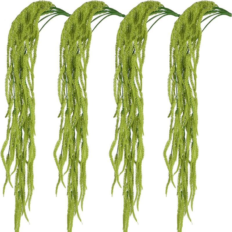 نباتات صناعية خضراء معلقة من ا - مراجعة String Of Pearls Plant وسعره