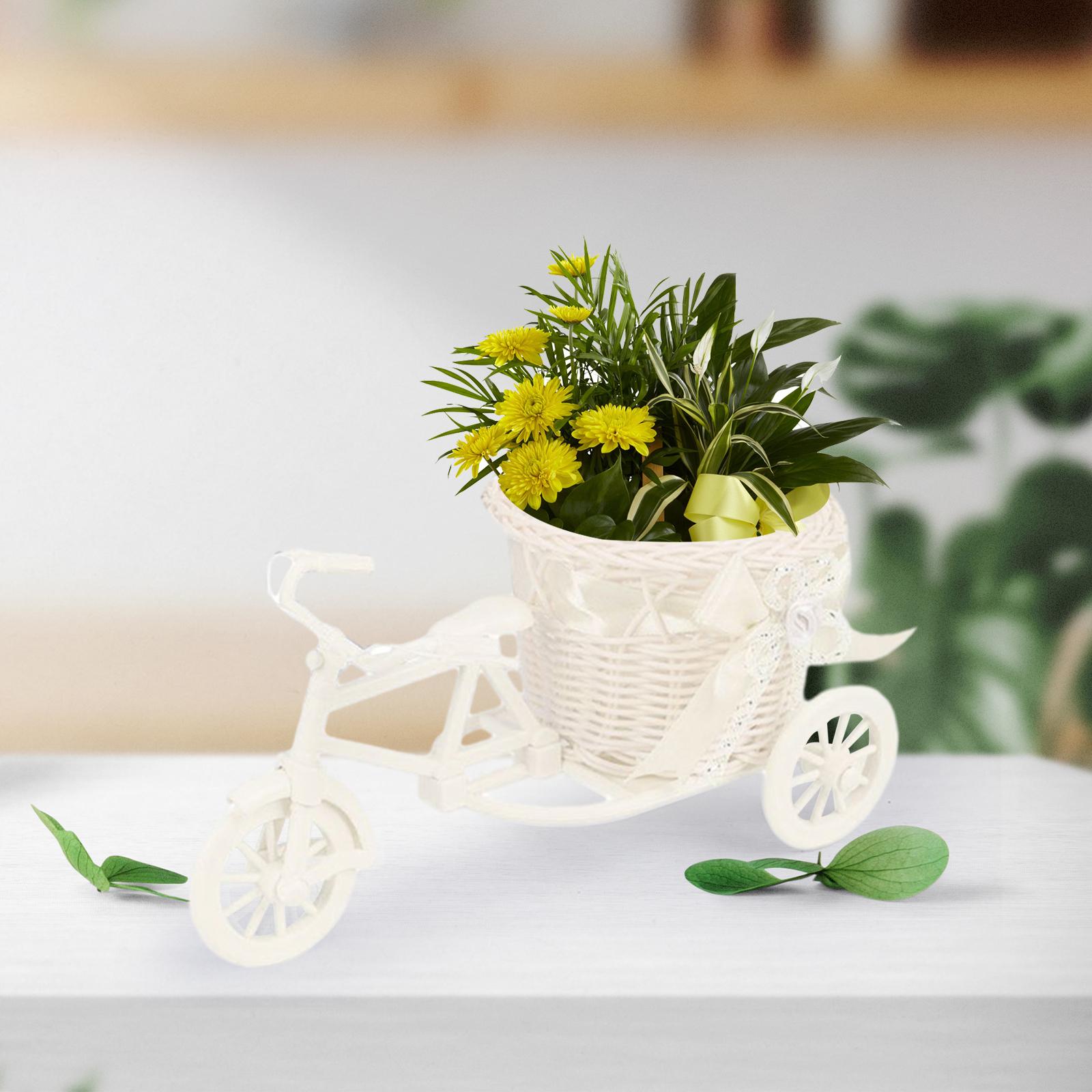 سلة زهور اصطناعية للدراجات ، م - مراجعة Plant Parents وسعره