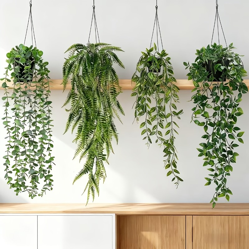 مجموعة من 4 قطع نباتات خضراء م - مراجعة String Of Pearls Plant وسعره