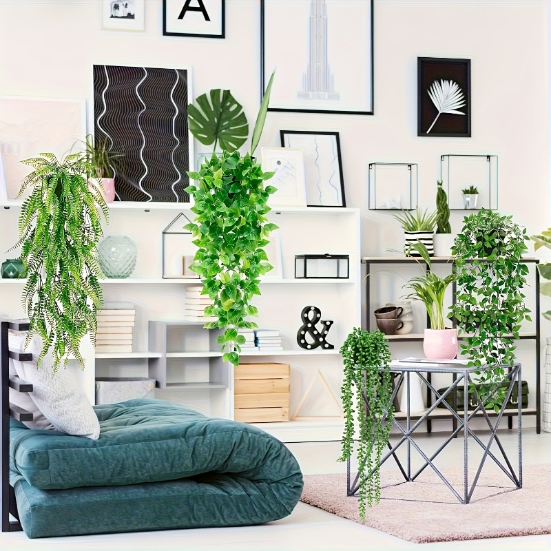 مجموعة من 4 قطع نباتات خضراء م - مراجعة String Of Pearls Plant وسعره