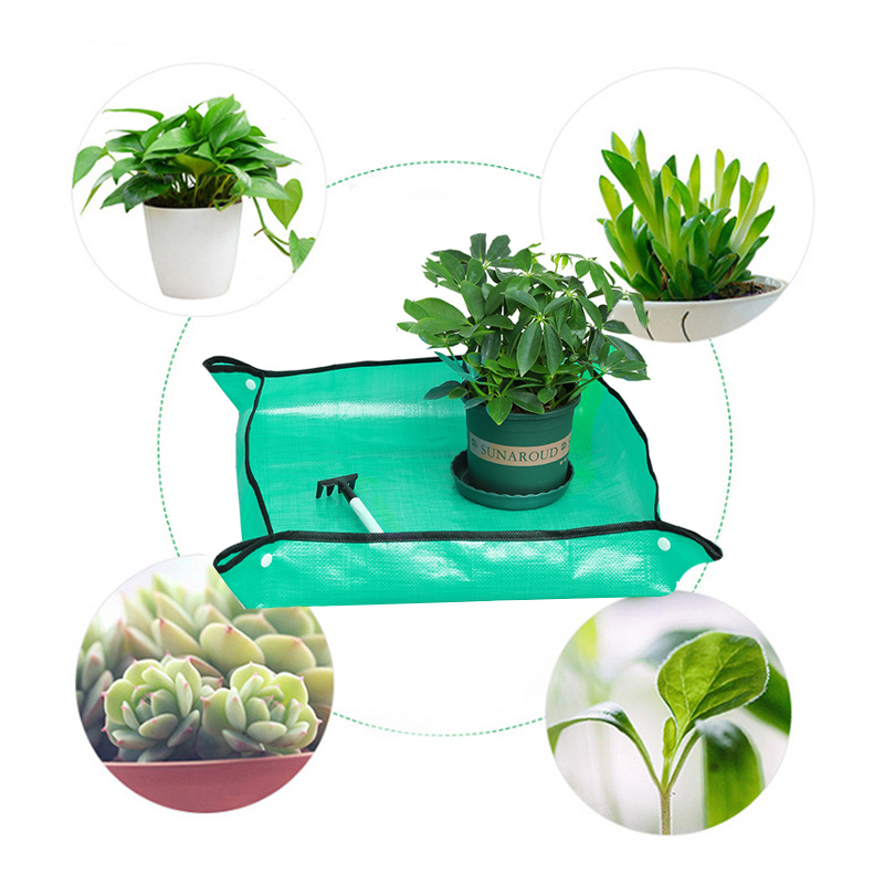 1 قطعة حصيرة زرع 50 سنتيمتر-10 - مراجعة Plant Parent وسعره