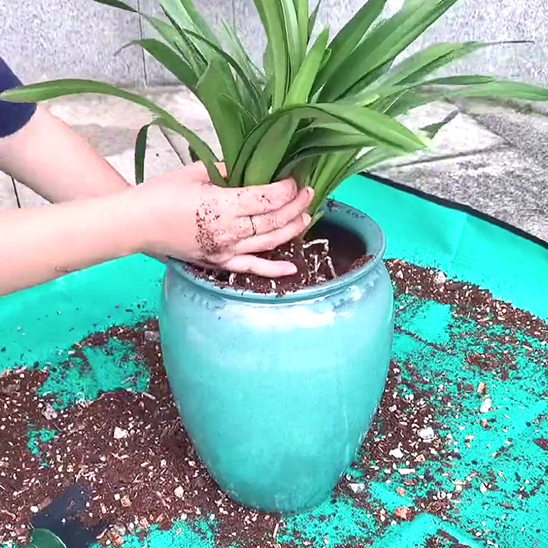 1 قطعة حصيرة زرع 50 سنتيمتر-10 - مراجعة Plant Parent وسعره