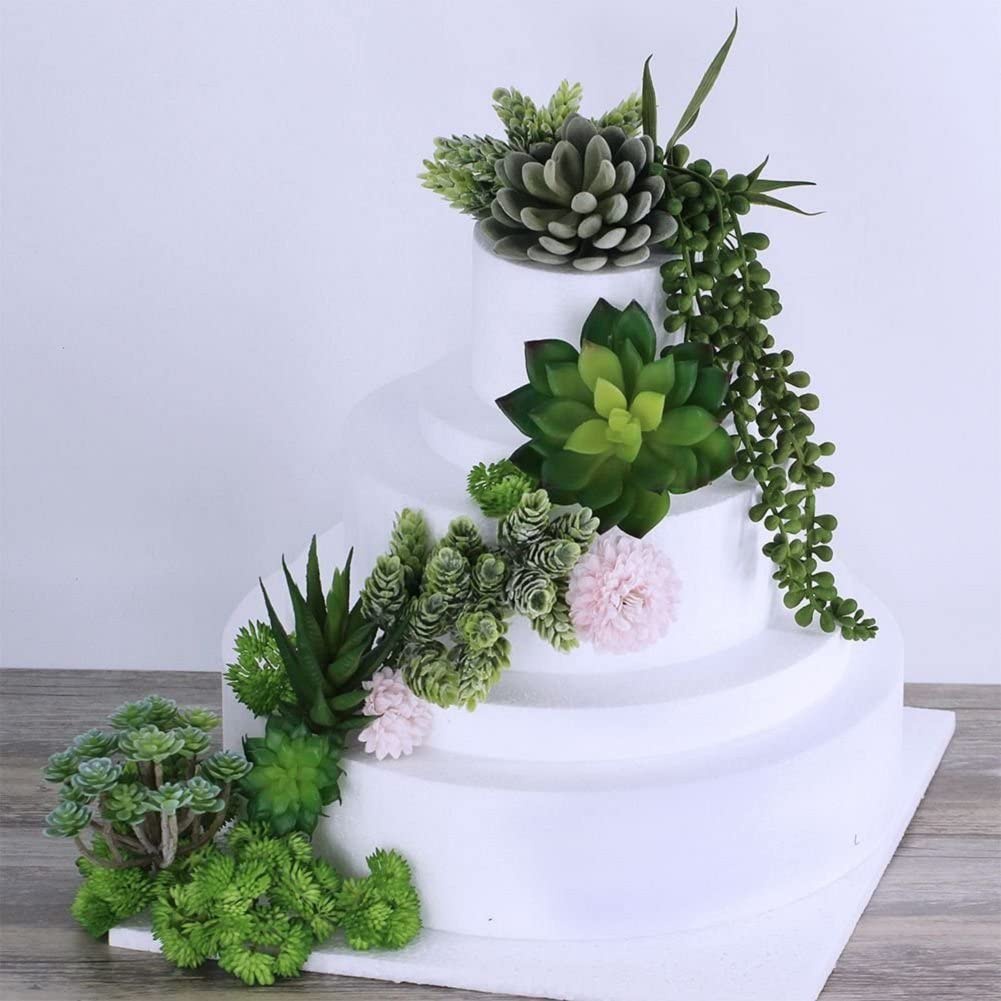 نباتات عصارية زخرفية صناعية ،  - مراجعة String Of Pearls Plant وسعره