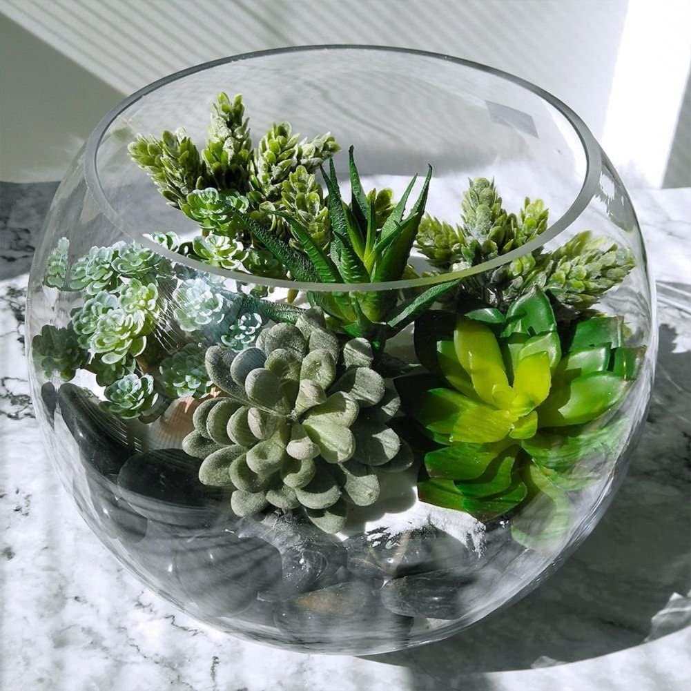 نباتات عصارية زخرفية صناعية ،  - مراجعة String Of Pearls Plant وسعره