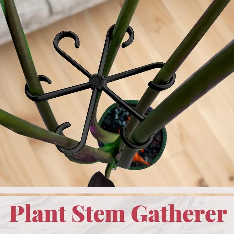 4 قطع من مشابك دعم النباتات ال - مراجعة Variegated Monstera Node وسعره