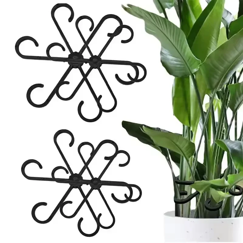 دعامات أوراق نباتات الألوكاسيا - مراجعة Variegated Monstera Node وسعره