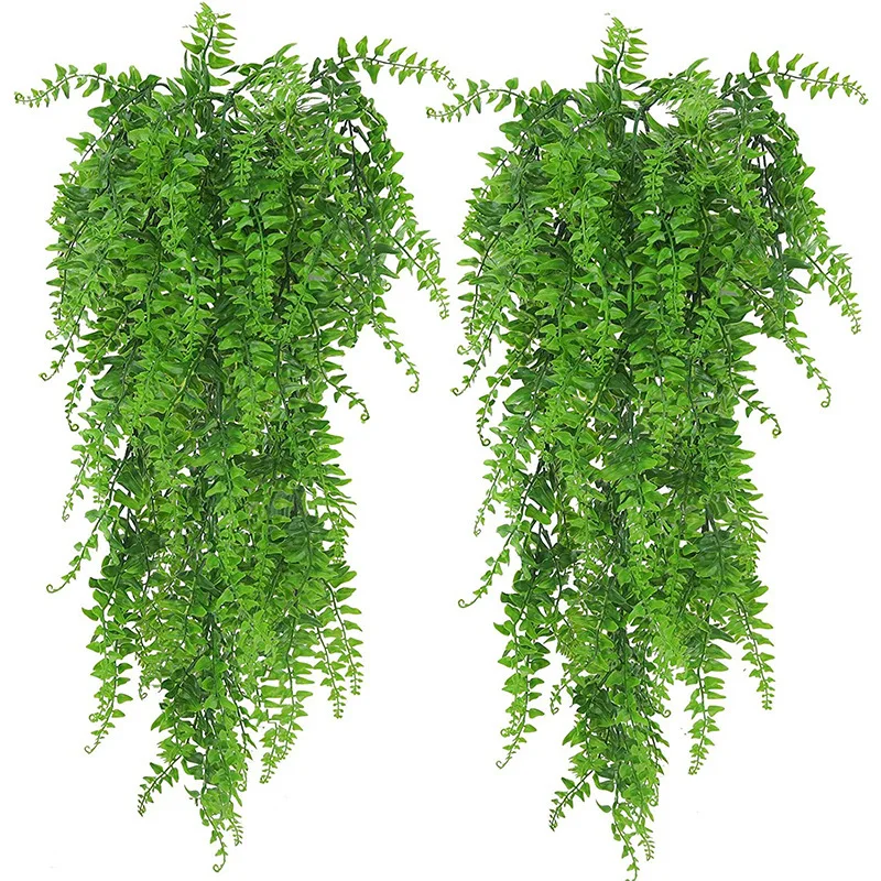 نباتات صناعية معلقة مقاس 32 بو - مراجعة String Of Pearls Plant وسعره