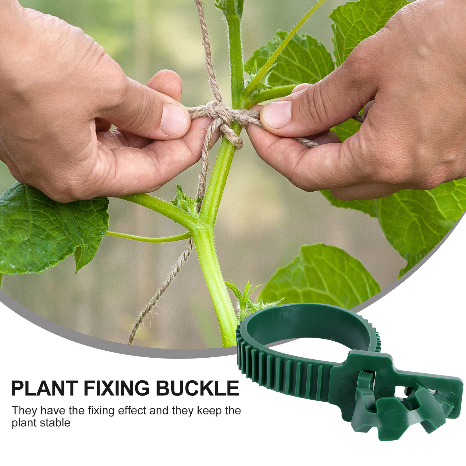 20 قطعة مشبك تثبيت للنباتات، م - مراجعة Plants X وسعره