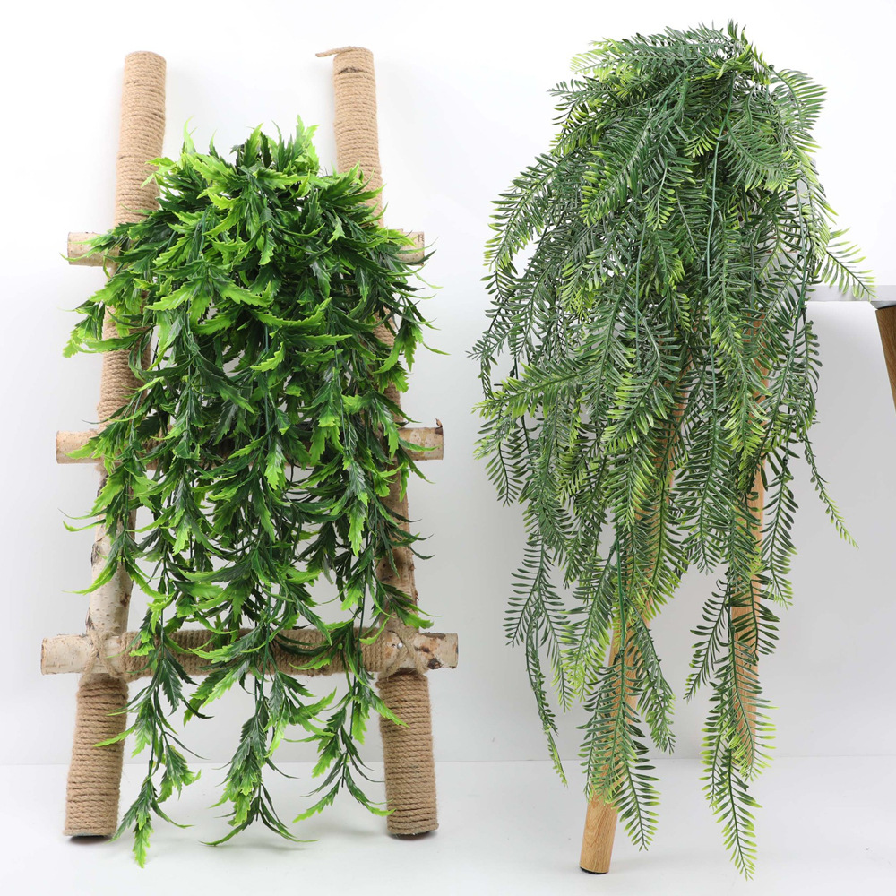 نبات اصطناعي معلق ، نبات خيزرا - مراجعة String Of Pearls Plant وسعره