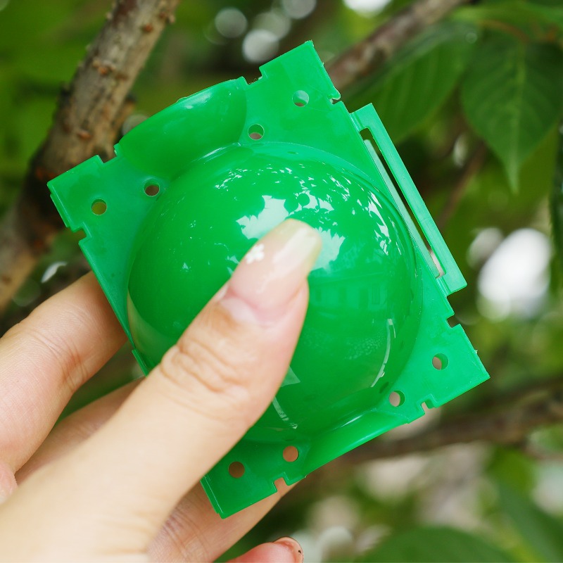 كرات تكثيف الجذور للنباتات، صن - مراجعة Plant Parent وسعره