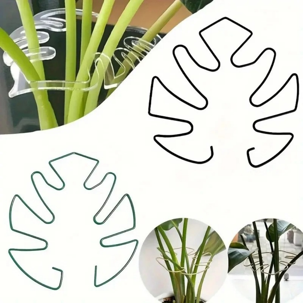 حامل نباتات كبير للاستخدام الد - مراجعة Variegated Monstera Node وسعره