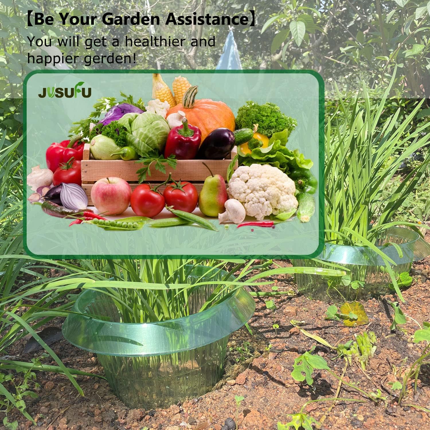 1/30 قطعة حلقات حماية النباتات - مراجعة Plant Parents وسعره
