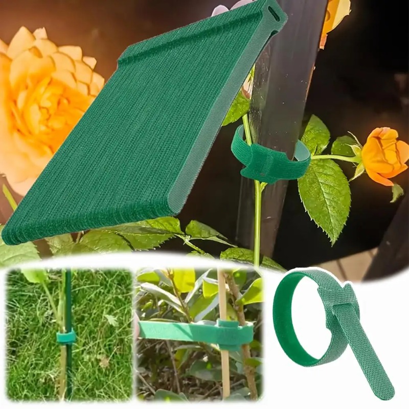 100 قطعة من روابط النباتات الن - مراجعة Plant Parenting وسعره