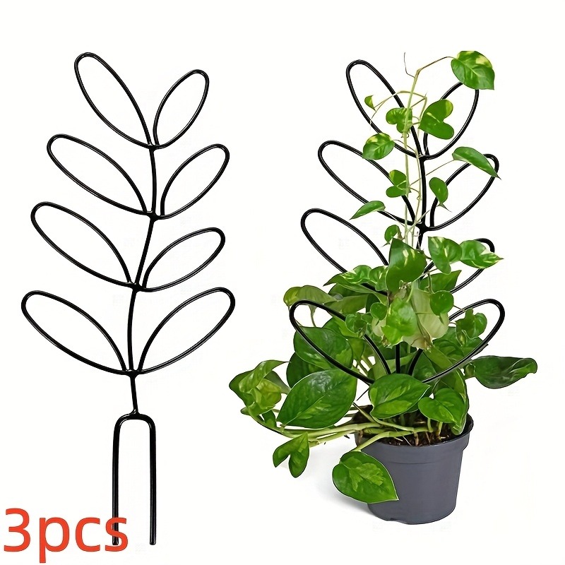 3 قطعة إطار دعم النبات تسلق ال - مراجعة Plant Parents وسعره