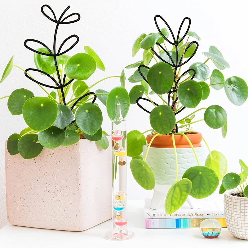 3 قطعة إطار دعم النبات تسلق ال - مراجعة Plant Parents وسعره