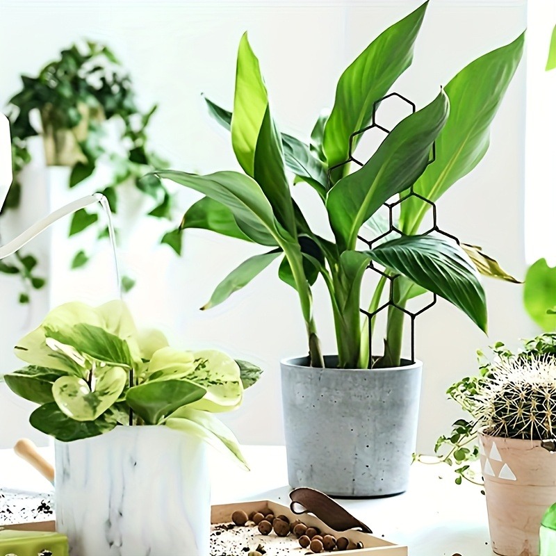 3 قطعة إطار دعم النبات تسلق ال - مراجعة Plant Parents وسعره