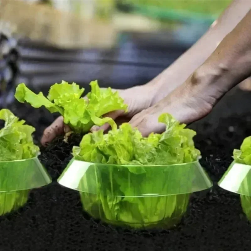 حلقات حماية سبيكة النباتات غطا - مراجعة Plant Parents وسعره