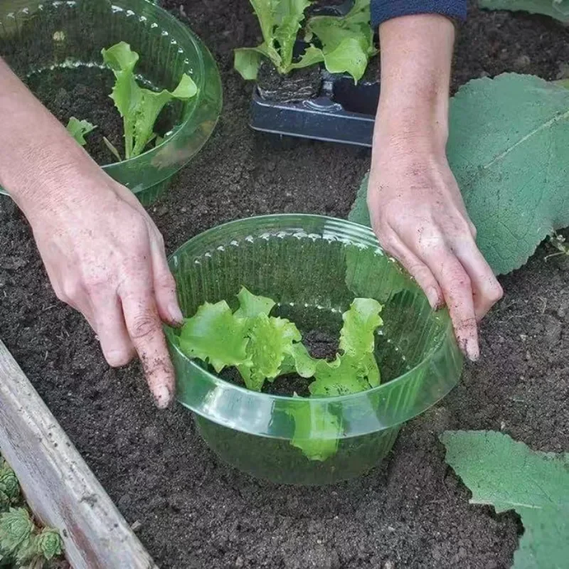 حلقات حماية سبيكة النباتات غطا - مراجعة Plant Parents وسعره