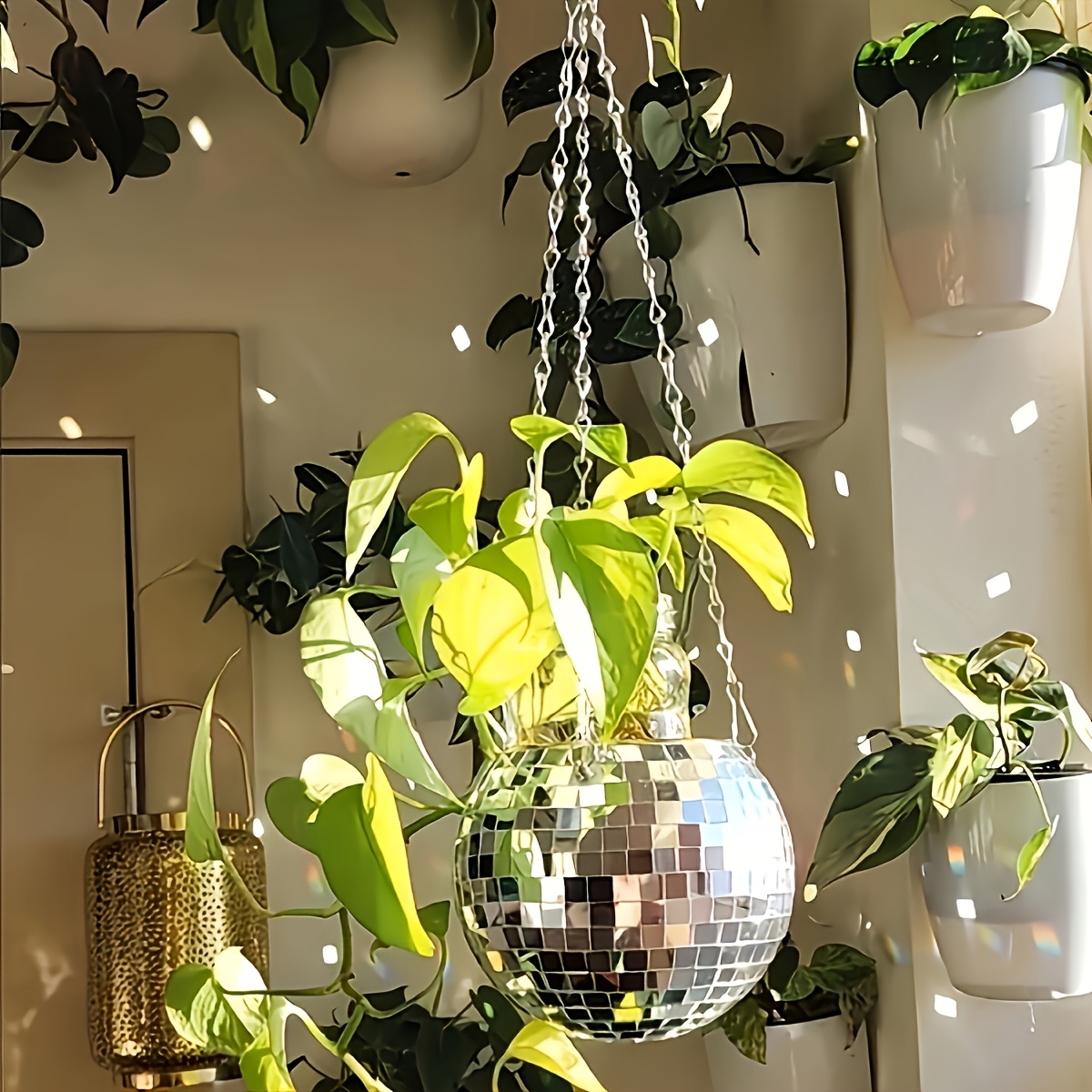 وعاء زهور معلق على شكل كرة ديس - مراجعة Plant Parent وسعره