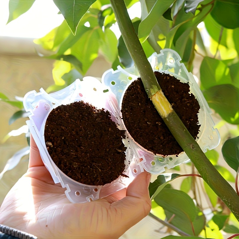 10 قطع من أدوات تكاثر النباتات - مراجعة Plant Parenting وسعره