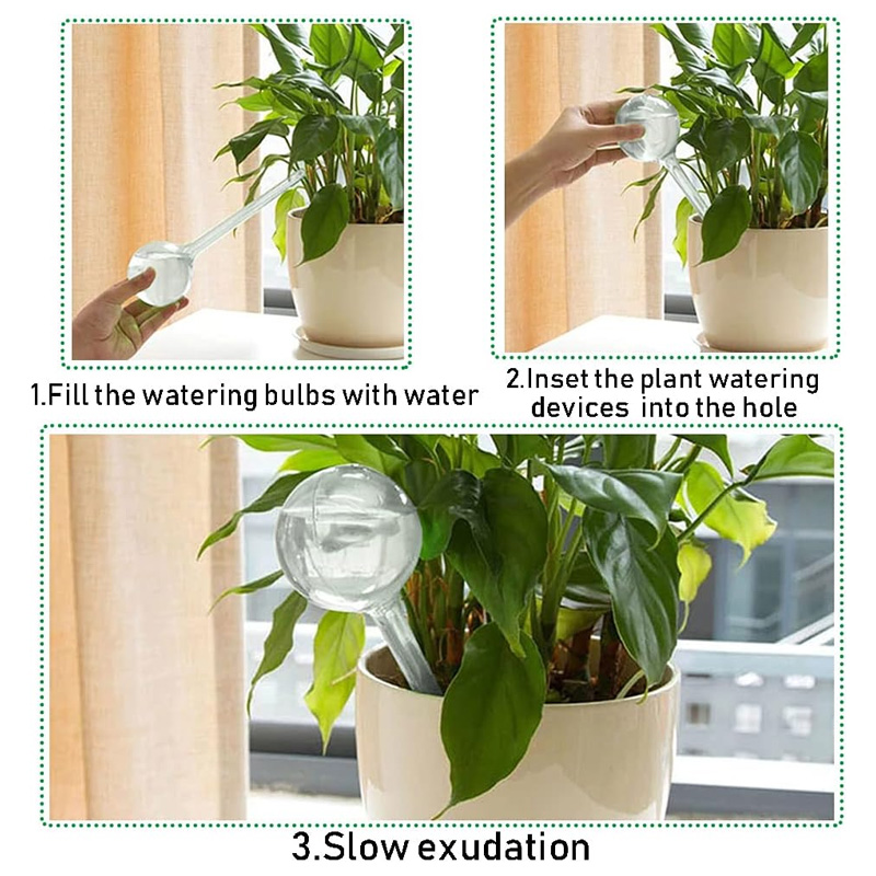 5/10 قطعة لمبات سقي النباتات ا - مراجعة Plant Parent Kit وسعره
