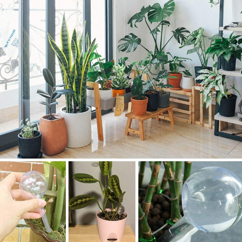 5/10 قطعة لمبات سقي النباتات ا - مراجعة Plant Parent Kit وسعره